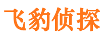 上街市婚外情取证